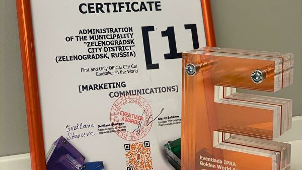 Зеленоградск стал обладателем премии Eventiada IPRA Golden World Awards за проект «Котошеф»