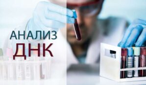 В России сертифицировано первое производство по выпуску наборов для установления родства и идентификации личности