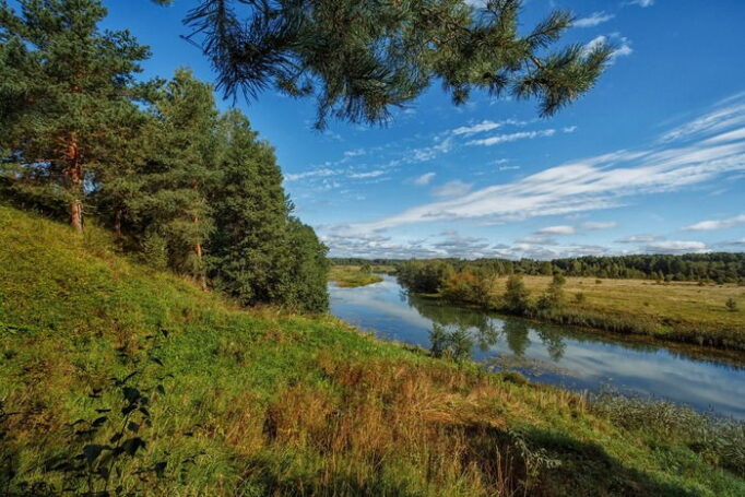 В Ивановской области под руководством Станислава Воскресенского люди стали чаще умирать