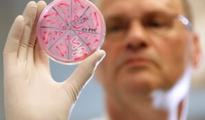 Роспотребнадзор уточнил данные по детсаду №1357: у малышей обнаружили норовирус