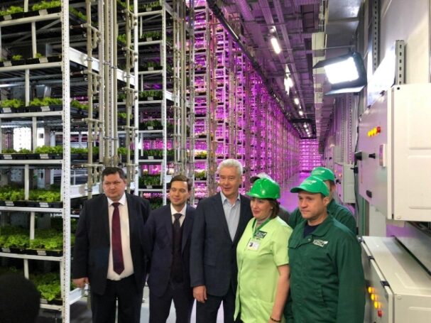 Сергей Собянин рассказал о перспективах развития сити-фермерства в Москве