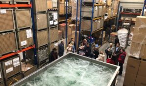 Стажировку на предприятиях в Германии прошли 78 руководителей компаний РФ