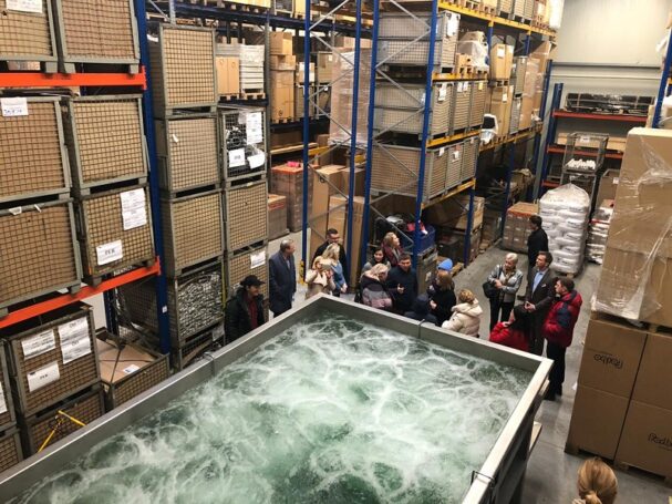 Стажировку на предприятиях в Германии прошли 78 руководителей компаний РФ