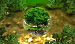 Экспертная комиссия рассматривает конкурсные экологические проекты в Москве