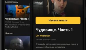Глава книжного сервиса MyBook Максим Гурец прокомментировал запуск приложения с чат-историями