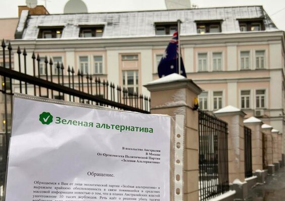 Оргкомитет партии «Зеленая Альтернатива» потребовал у властей Австралии не убивать тысячи верблюдов