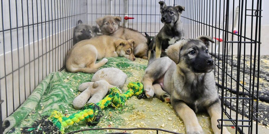 Наталья Сергунина рассказала, как пройдет Всемирный День НКО в столице
