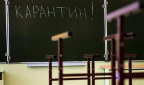 Эксперты ОНФ соберут вопросы и мнения родителей школьников по процессу обучения на карантине
