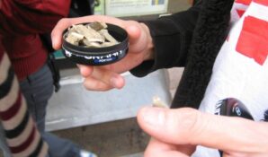 Никотиновые пэки в России в скором времени смогут продаваться легально