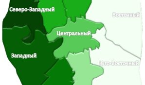 Onrealt.ru выяснил, где в Москве у владельцев животных больше шансов снять комнату
