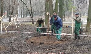 Озеленительные работы начались в Левобережном районе Москвы