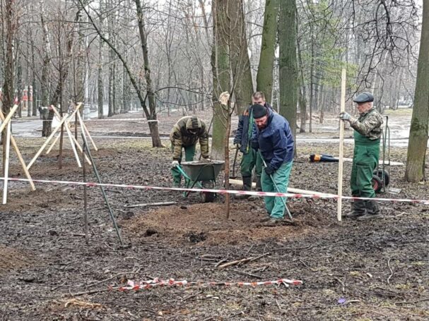 Озеленительные работы начались в Левобережном районе Москвы