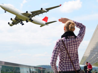 Bel Trading and Consulting Ltd. представила новую систему предотвращения столкновений с птицами