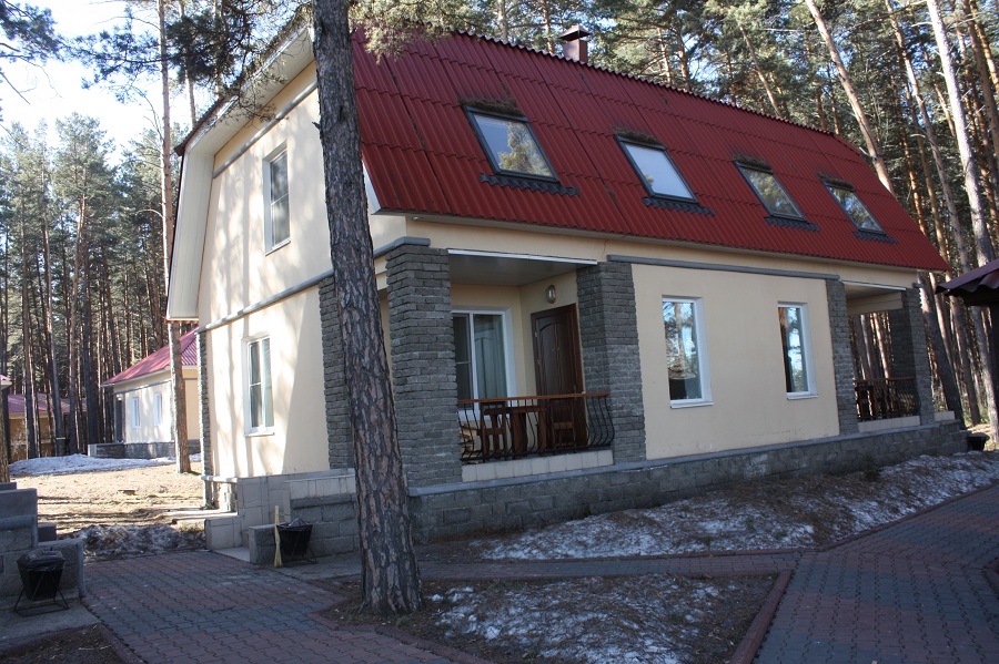 Строим с шифером: рост популярности проверенной кровли