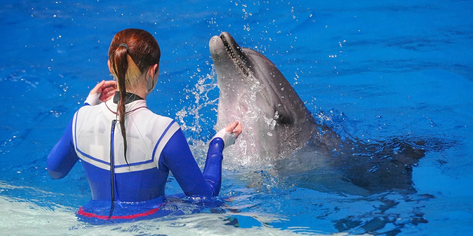 Наталья Сергунина рассказала о работе павильонов ВДНХ с 16 июня