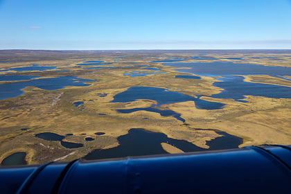 «Норникель» не согласился с оценками Росприроднадзора