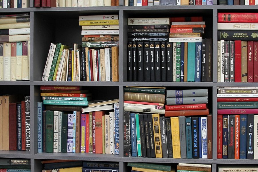 Наталья Сергунина рассказала о новом разделе портала «Онлайн.Библиогород»