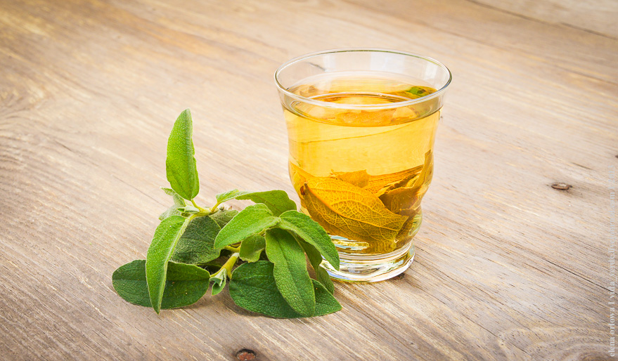 Экстракт ладанника поможет в борьбе с вирусами