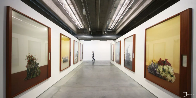 Наталья Сергунина рассказала о субсидиях в сфере искусства для частных компаний