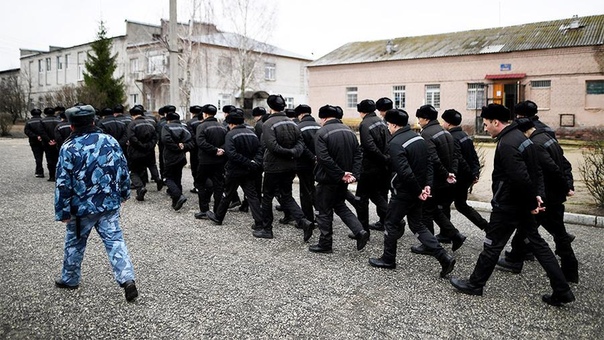 Рекордно низкое число заключенных насчитал ФСИН в России