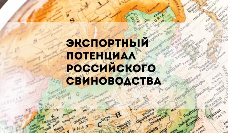 Открытие новых рынков сбыта способствует увеличению экспорта свинины в России