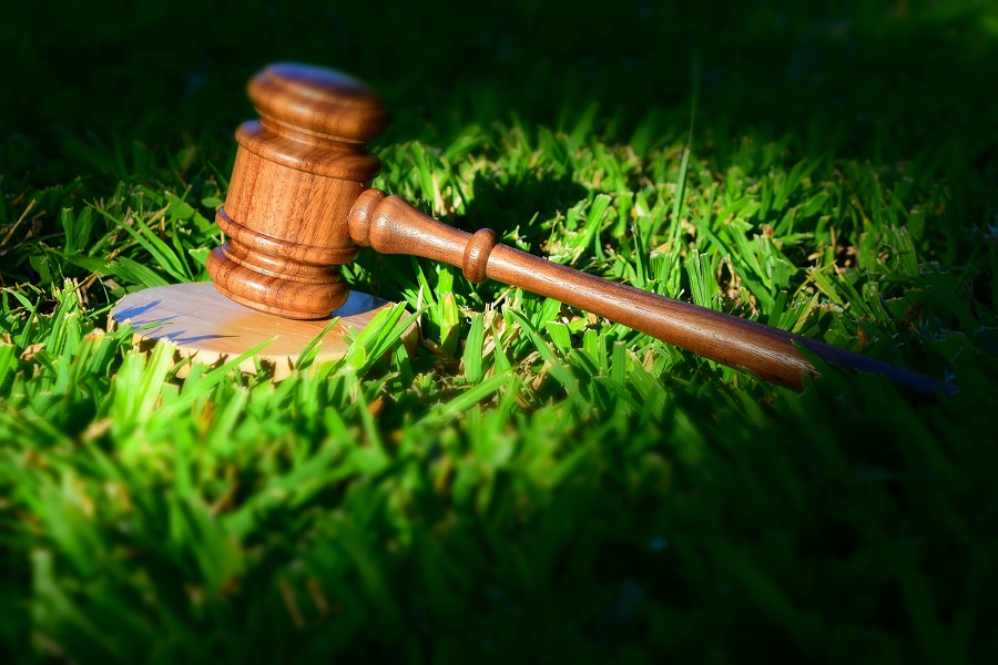 Незнание законов природы не освобождает от ответственности: СК России проверит экологические знания в Экодиктанте