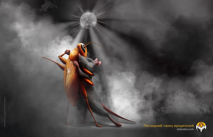 Готовимся к атаке тараканов: простые способы предотвратить появление насекомых в квартире