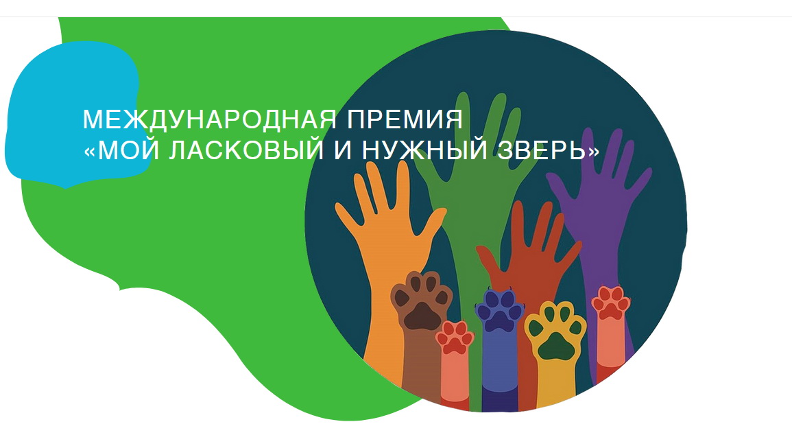 Второй международный конкурс «Мой ласковый и нужный зверь» проходит в городе Зеленоградск