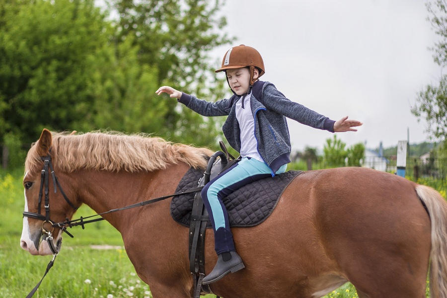 «Доктор лошадь» — программа реабилитации для детей и родителей