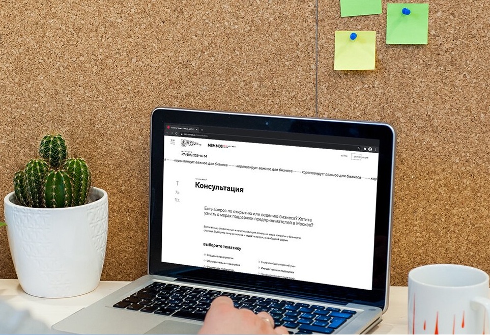 Наталья Сергунина сообщила, что консультациями «Малого бизнеса Москвы» воспользовались почти полмиллиона человек