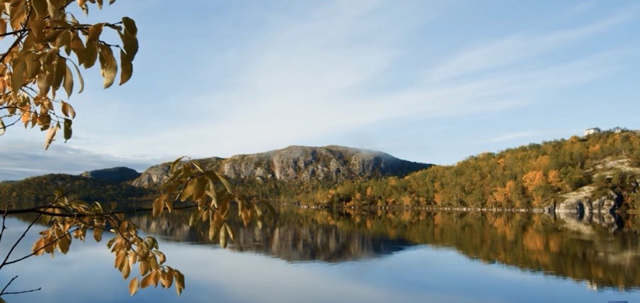 Скандинавские ученые: «Норникель» много работает над тем, чтобы стать «зеленым» предприятием