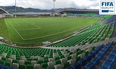 Быстрорастущий мировой рынок формируют производители искусственных покрытий