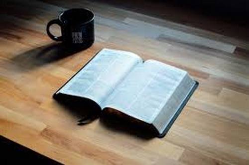 Итоги московской программы «Библионочи» подвела Наталья Сергунина