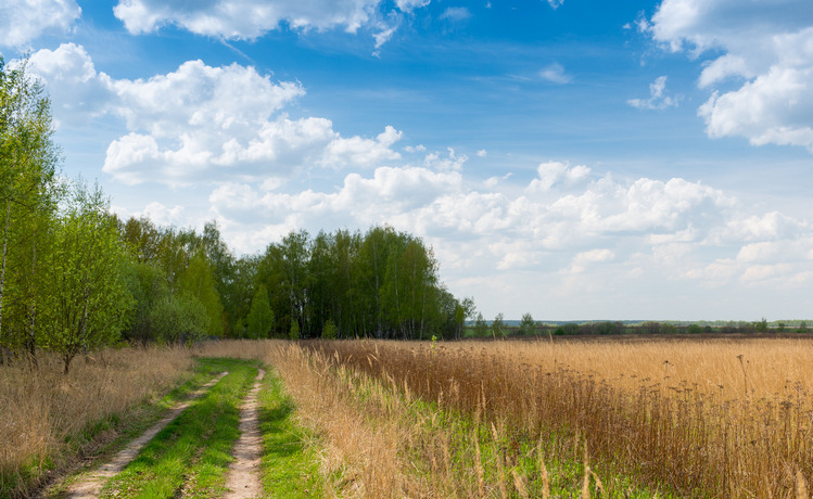 Объявлено о намерениях разработать новые туристические предложения для жителей столицы и Тульской области