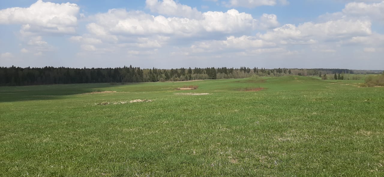 ГК Максимум Life Development строит первый поселок в Тосненском районе Ленобласти