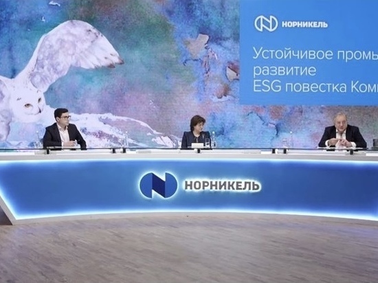 Сооснователь платформы Cleantech Club: «Норникель» играет важнейшую роль в «зеленой революции»
