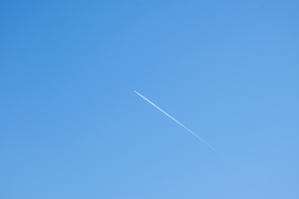 Президент России внес в Госдуму законопроект о денонсации Договора по открытому небу