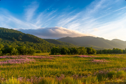Уже более миллиона человек воспользовались туристическим сервисом Russpass