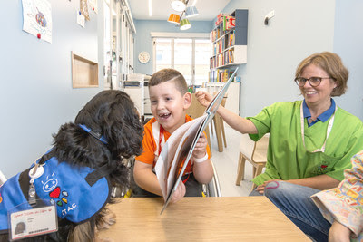 Достижения Purina за 2019-2020 годы представлены в социальном отчете компании