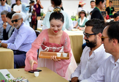 Чайные плантации в Шихе продемонстрировали дипломатам и репортерам из разных стран