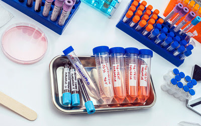 Spartan Mosquito объявила о запуске программы Serve the Underserved