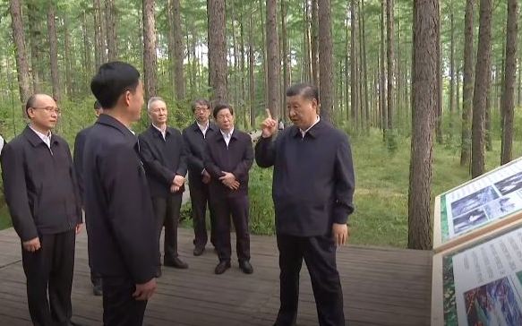 Си Цзиньпин встретился с сотрудниками лесного хозяйства Сайханба