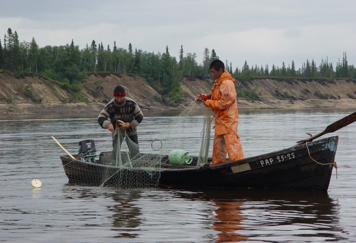 Роскомрыболовство может увеличить квоты на вылов рыбы в водоемах Таймыра
