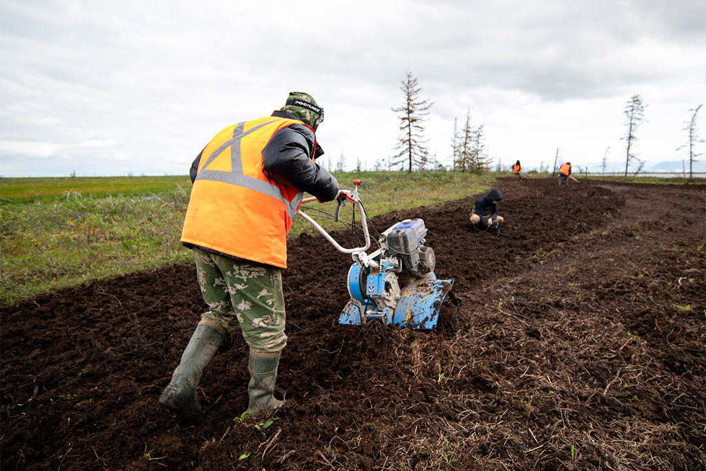«Норникель» затеял глобальную уборку в Заполярье