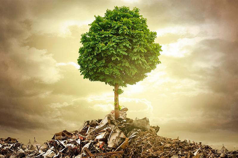 «Зелёные» требуют установить субсидиарную ответственность акционеров за экологические нарушения