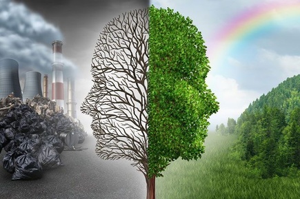 Участниками онлайн-марафона «Зелёных» стали опытные экологи и приверженцы ЗОЖ