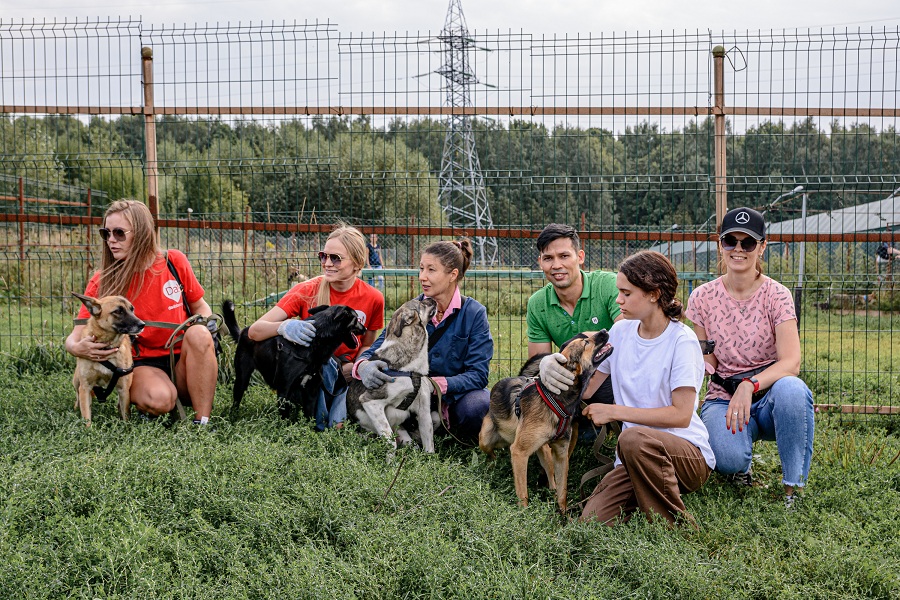 ДаДобро подвел итоги акции «Лучший друг» в Москве