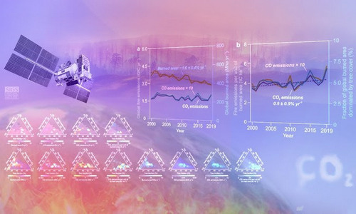 Tsinghua SIGS сообщила о спутниковых методах инверсии выбросов CO2 в лесных пожарах