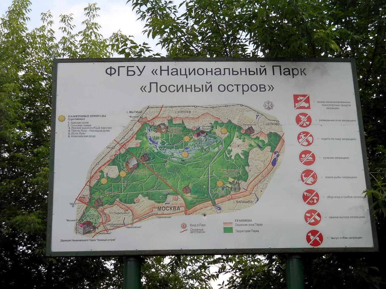 В парке «Лосиный остров» стартовала акция по борьбе с незаконной вырубкой деревьев