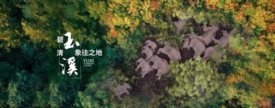 Китайско-лаосская железная дорога ускоряет развитие города Юйси в провинции Юньнань